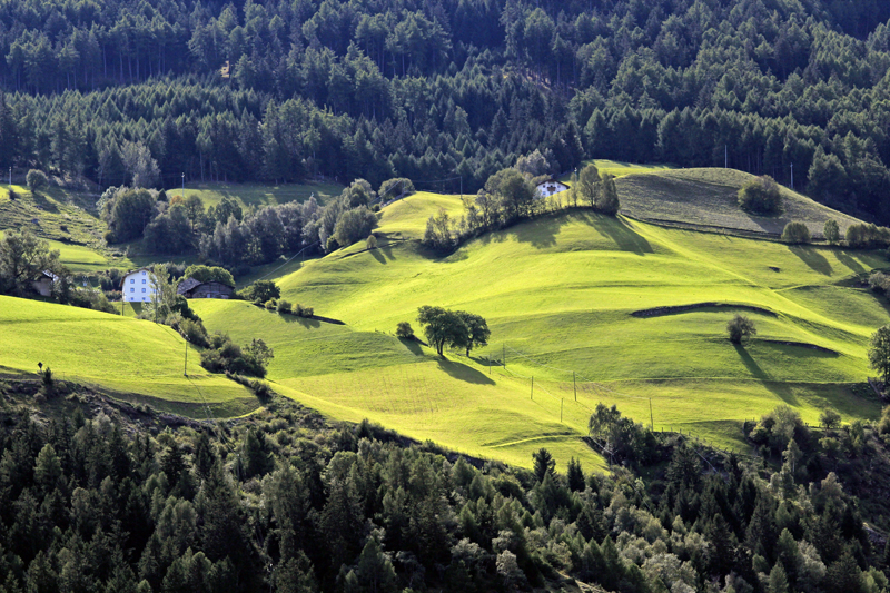 2017-09-07_111052 trentino-suedtirol-2017.jpg - Almwiesen im oberen Etschtal